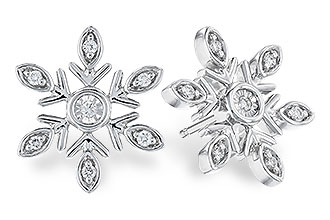 B301-21234: EARRINGS .07 TW