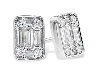 F300-28543: EARR .19 BAG .30 TW